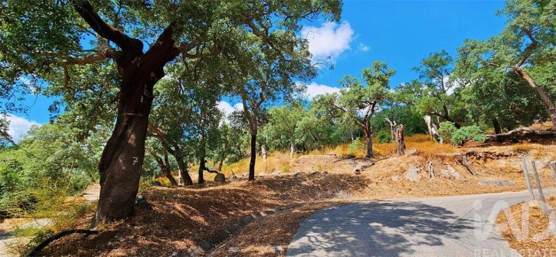 Moradia T2 para Venda em Monchique Foto 22