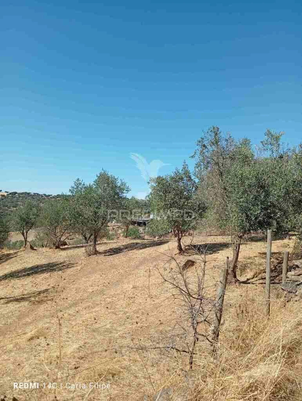 Terreno para Venda em Ciladas Foto 7