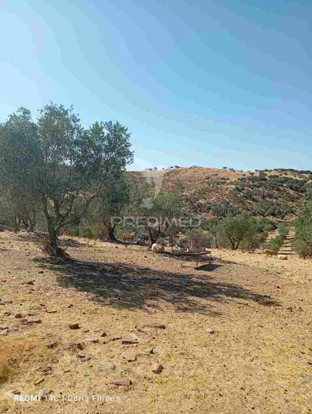 Terreno para Venda em Ciladas Foto 5