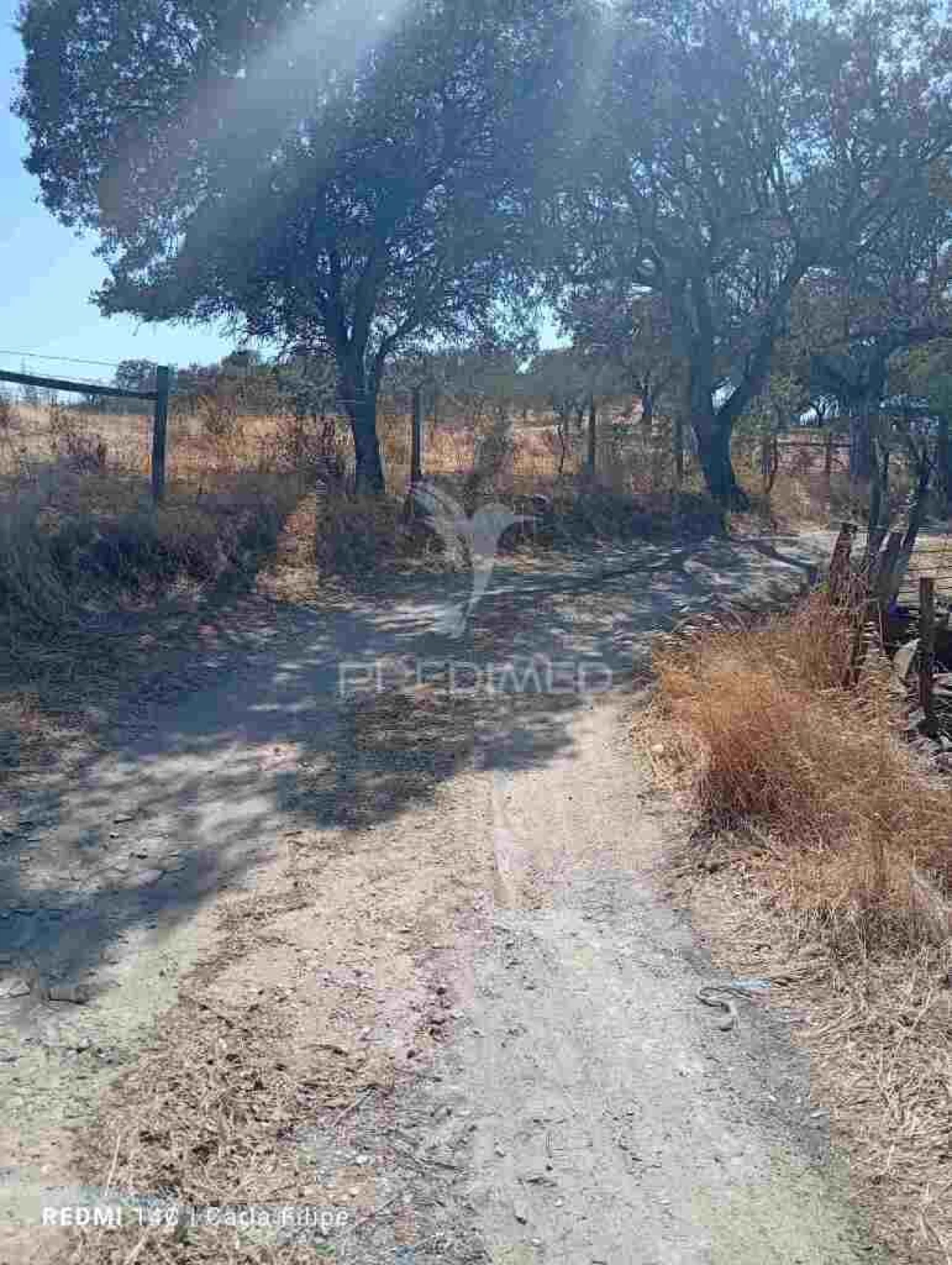 Terreno para Venda em Ciladas Foto 10