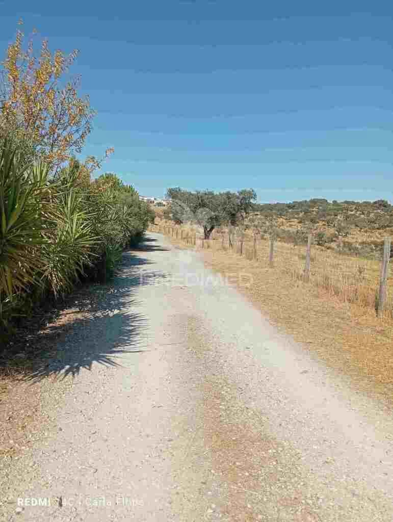 Terreno para Venda em Ciladas Foto 11