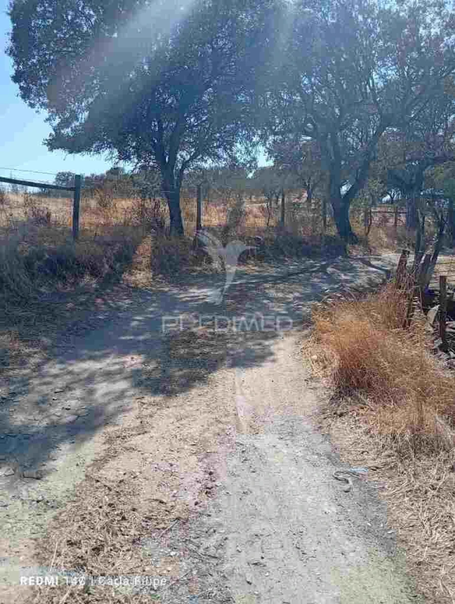 Terreno para Venda em Ciladas Foto 10