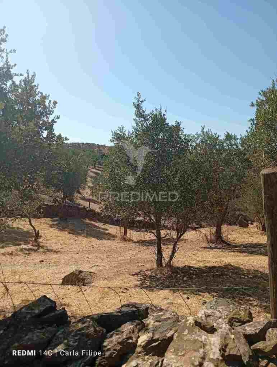 Terreno para Venda em Ciladas Foto 8