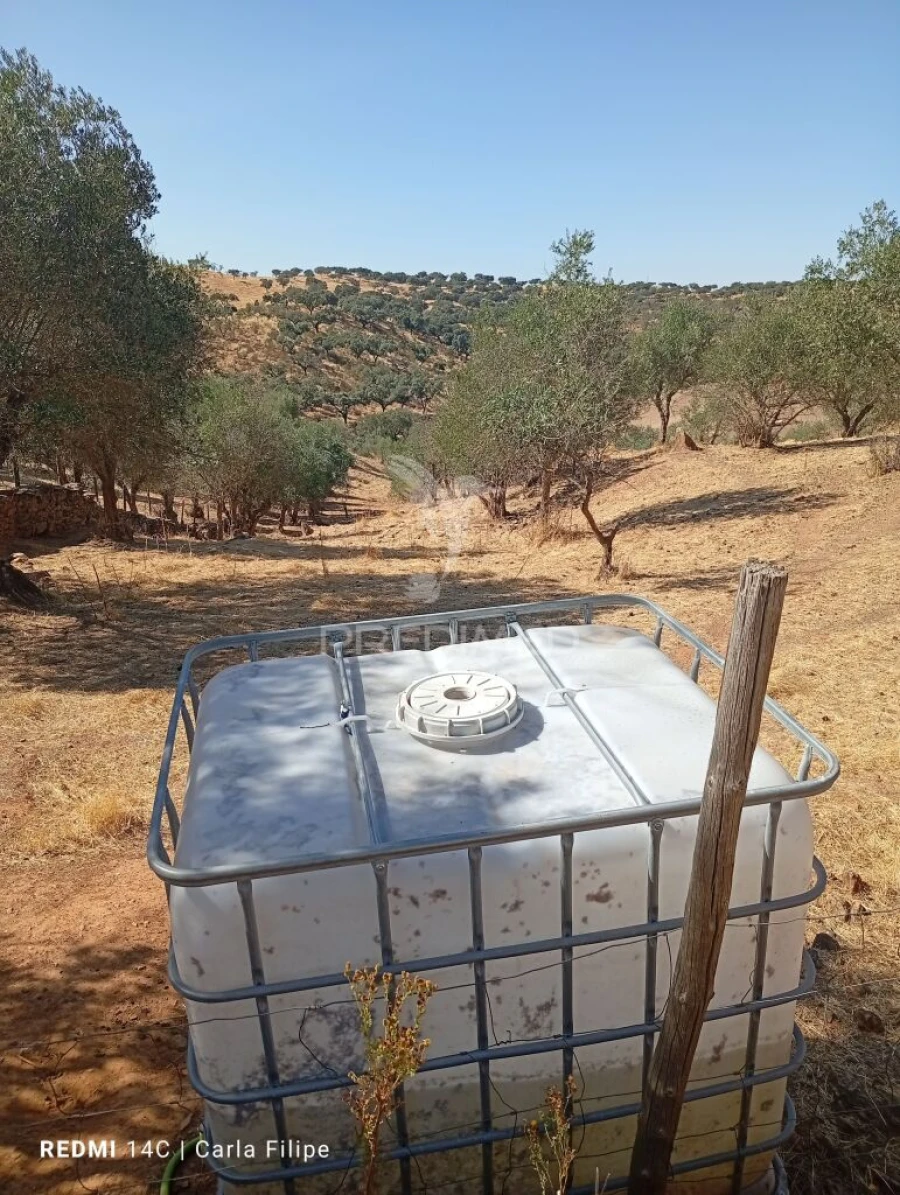 Terreno para Venda em Ciladas Foto 2