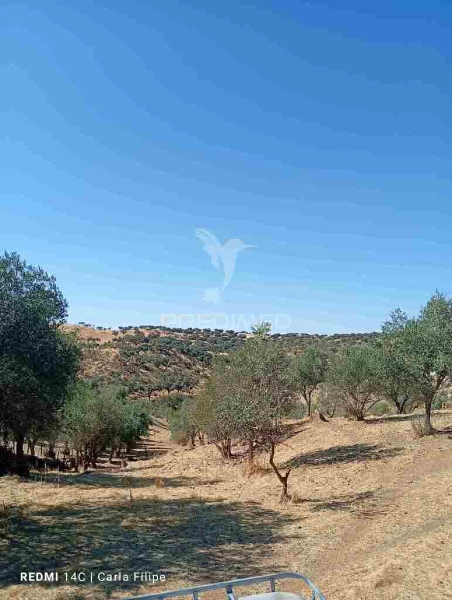 Terreno para Venda em Ciladas Foto 6