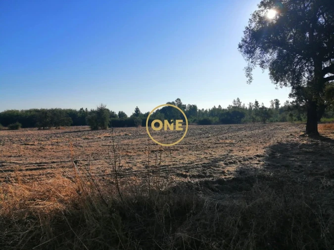 Terreno para Venda em Salvaterra de Magos e Foros de Salvaterra Foto 2