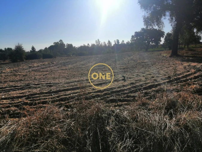 Terreno para Venda em Salvaterra de Magos e Foros de Salvaterra Foto 1