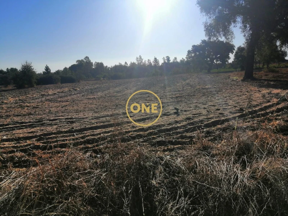 Terreno para Venda em Salvaterra de Magos e Foros de Salvaterra Foto 1