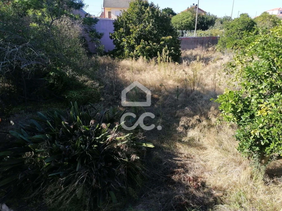 Moradia T5 para Venda em Vermelha Foto 48