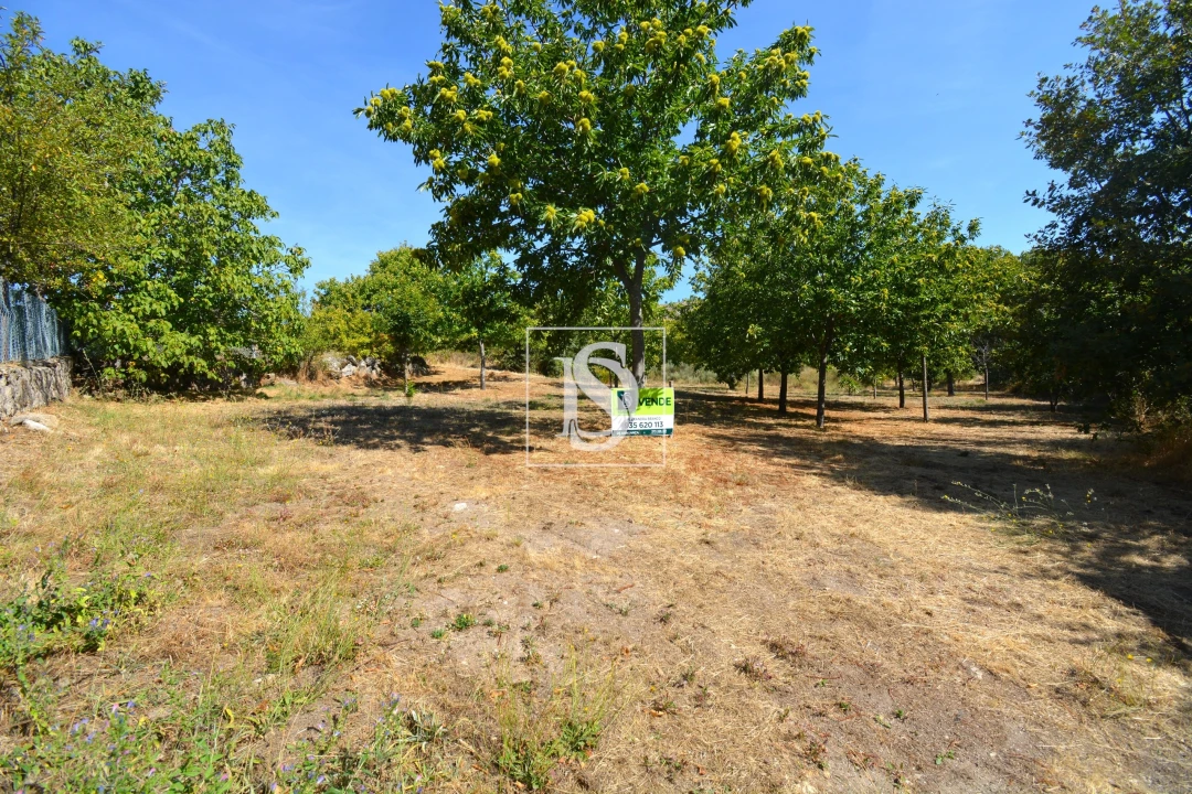Terreno para Venda em França Foto 1