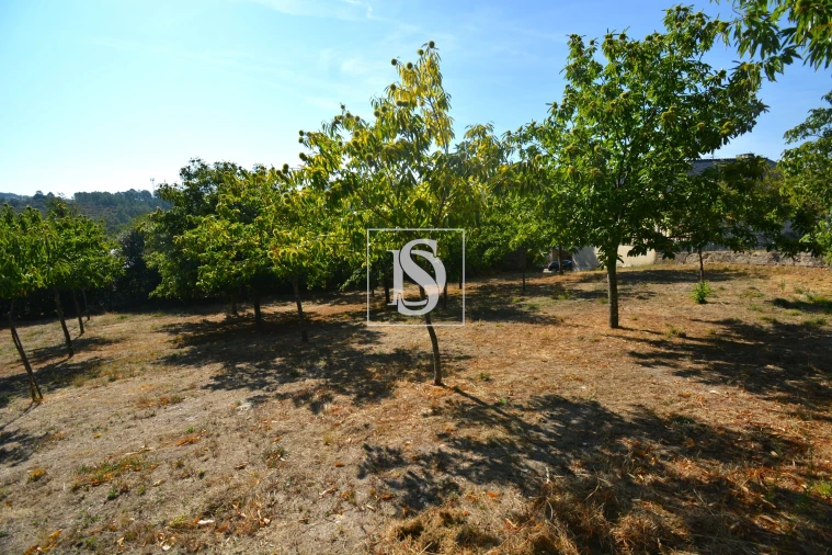 Terreno para Venda em França Foto 6