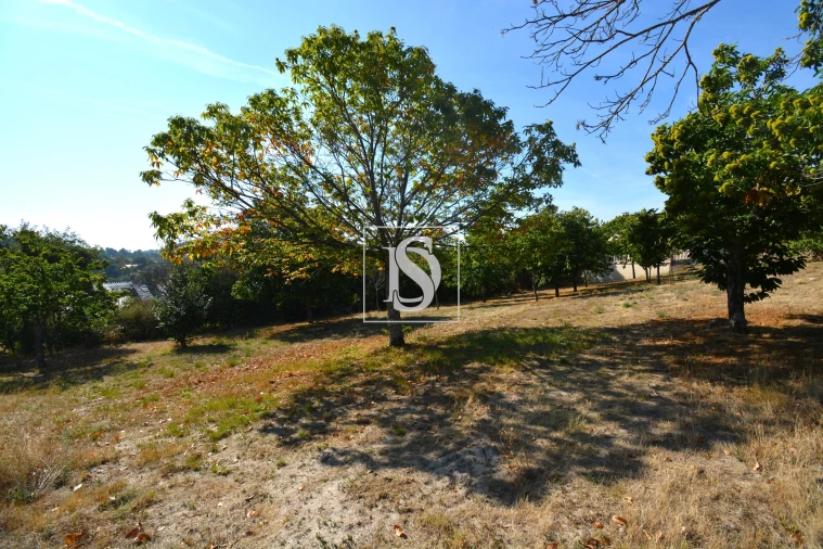 Terreno para Venda em França Foto 3
