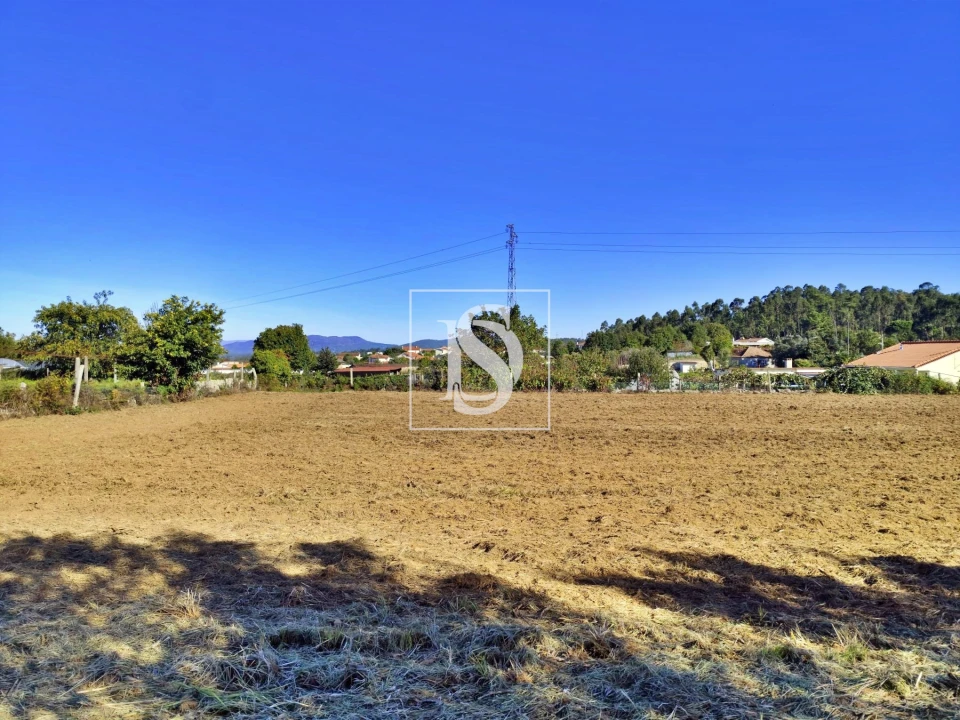 Terreno para Venda em Alheira e Igreja Nova Foto 4