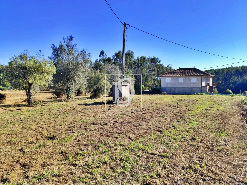 Terreno para Venda em Alheira e Igreja Nova Foto 6