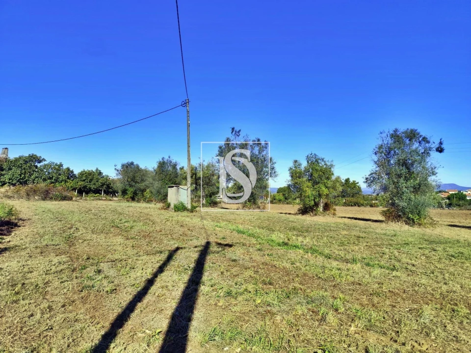 Terreno para Venda em Alheira e Igreja Nova Foto 7