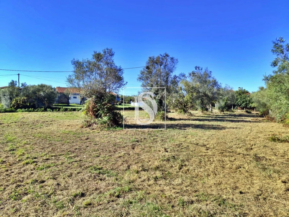 Terreno para Venda em Alheira e Igreja Nova Foto 11