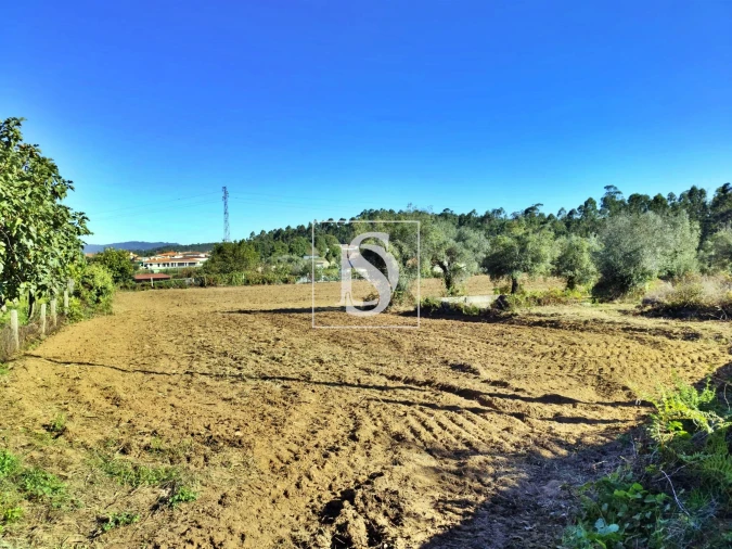 Terreno para Venda em Alheira e Igreja Nova