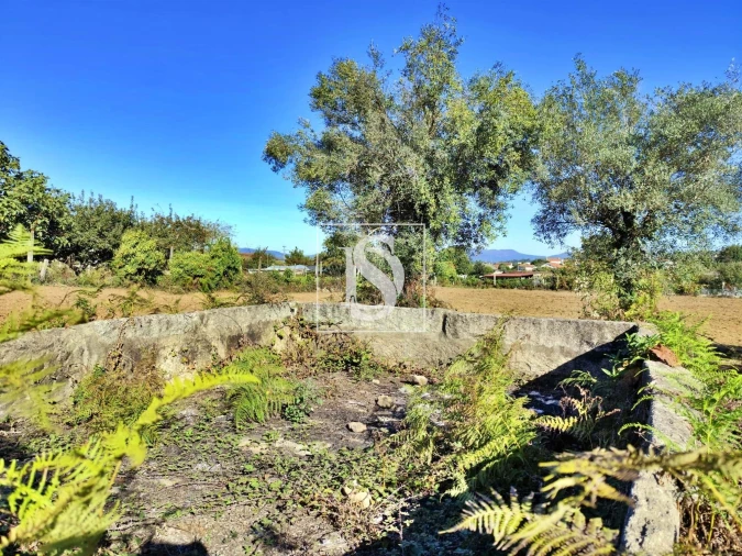 Terreno para Venda em Alheira e Igreja Nova Foto 2