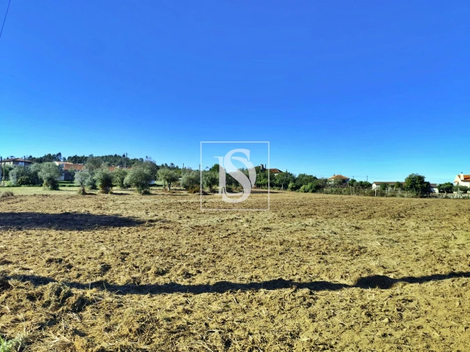 Terreno para Venda em Alheira e Igreja Nova Foto 14