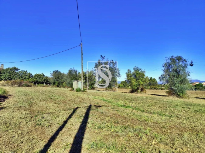 Terreno para Venda em Alheira e Igreja Nova Foto 7