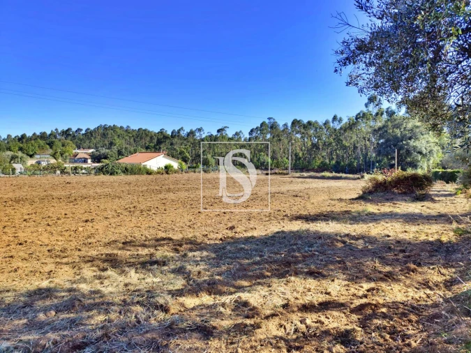 Terreno para Venda em Alheira e Igreja Nova Foto 5