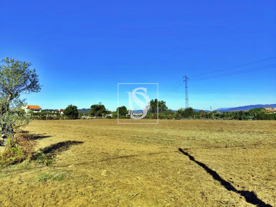 Terreno para Venda em Alheira e Igreja Nova Foto 8