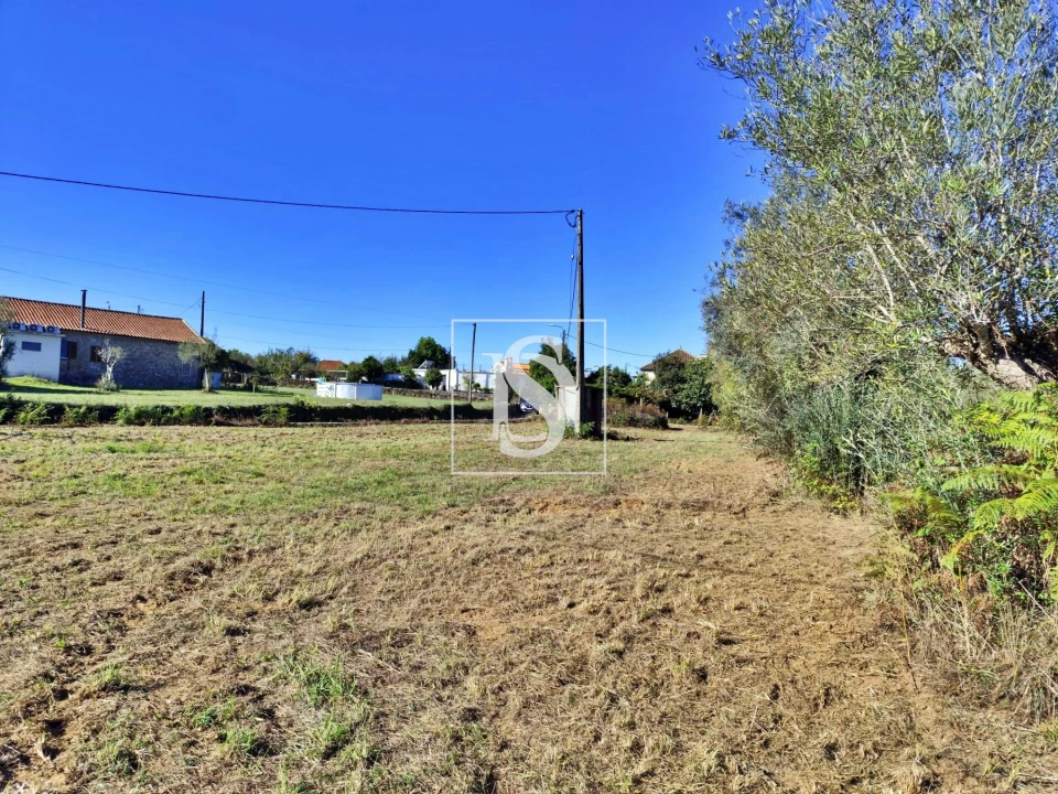 Terreno para Venda em Alheira e Igreja Nova Foto 12