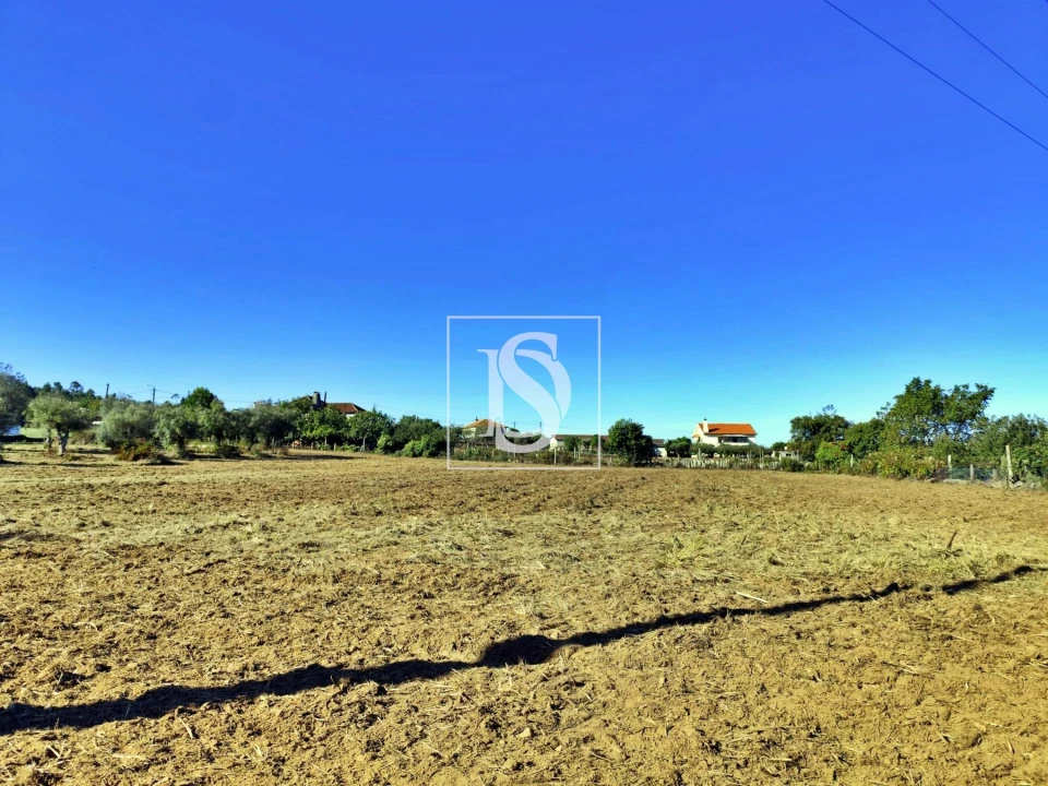 Terreno para Venda em Alheira e Igreja Nova Foto 13