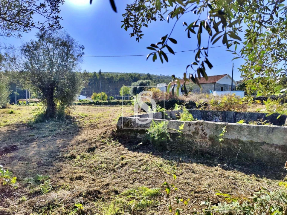 Terreno para Venda em Alheira e Igreja Nova Foto 3