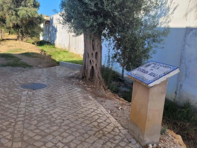 Terreno para Venda em Silves Foto 6