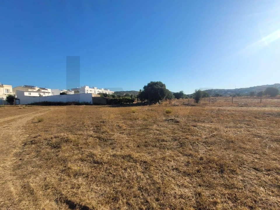 Terreno para Venda em Silves Foto 16