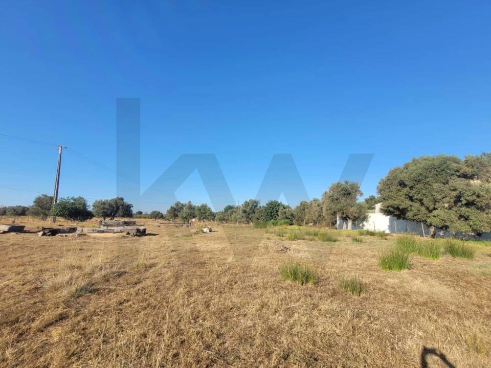 Terreno para Venda em Silves Foto 20
