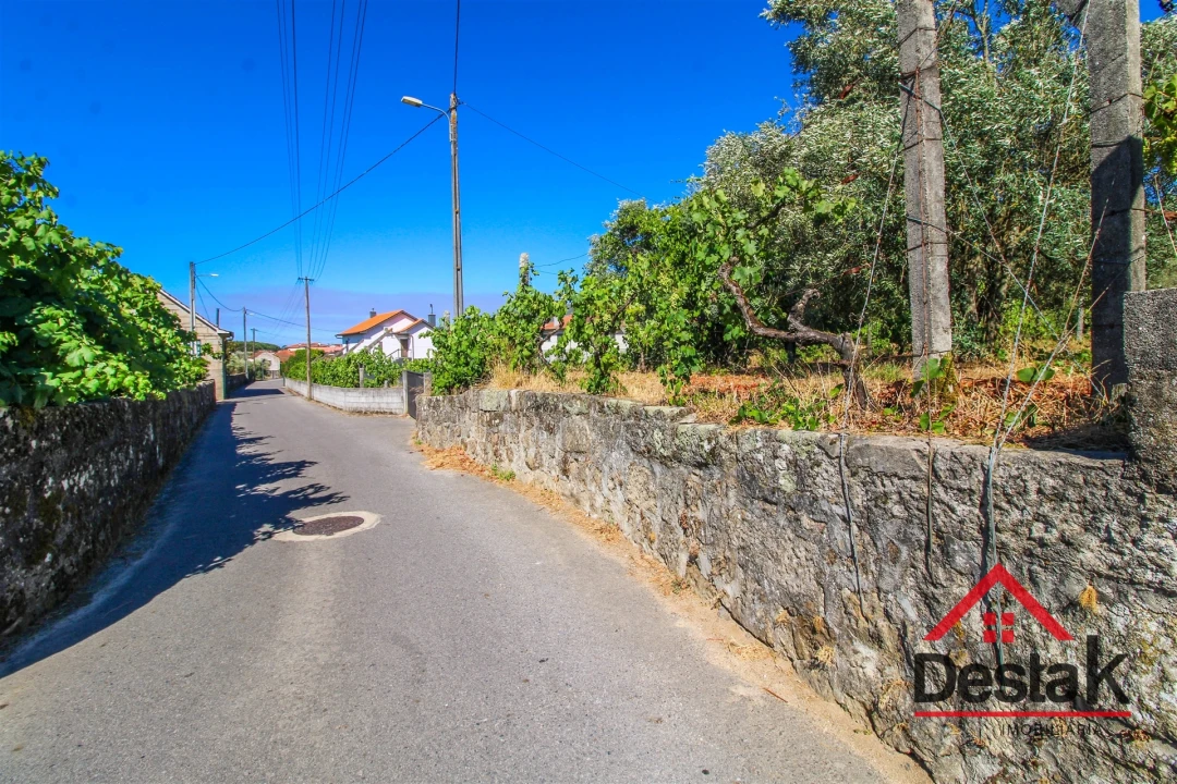 Quinta T0 para Venda em Santa Cruz da Trapa e São Cristóvão de Lafões Foto 3