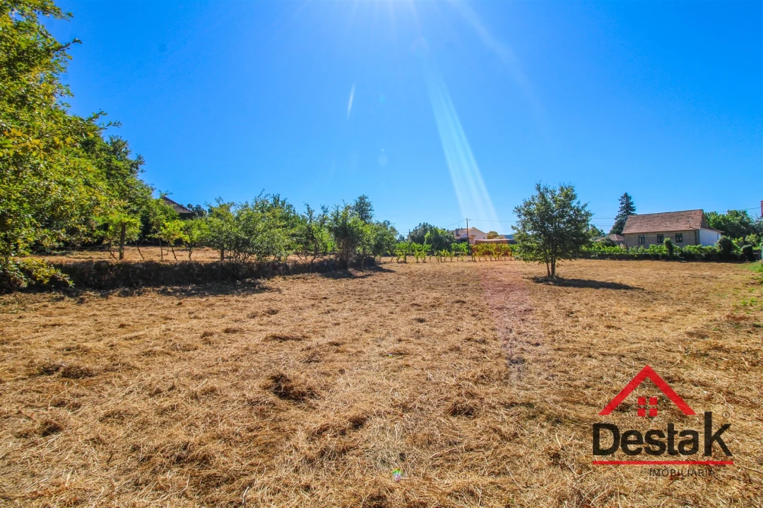 Quinta T0 para Venda em Santa Cruz da Trapa e São Cristóvão de Lafões Foto 39