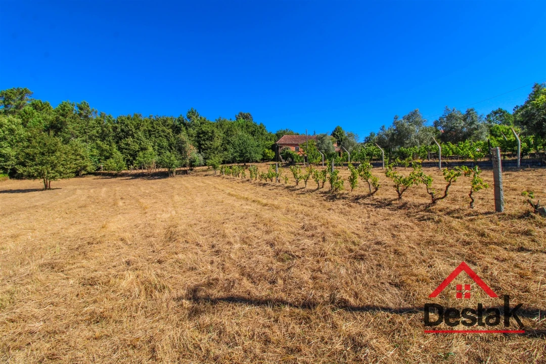 Quinta T0 para Venda em Santa Cruz da Trapa e São Cristóvão de Lafões Foto 22