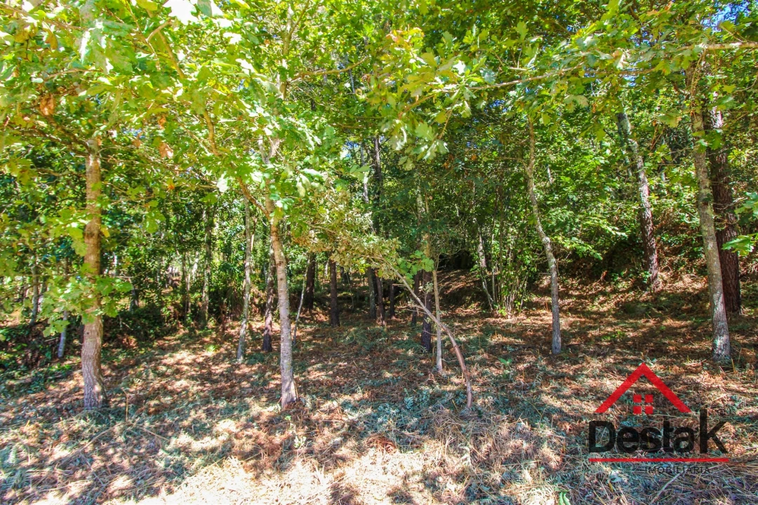 Quinta T0 para Venda em Santa Cruz da Trapa e São Cristóvão de Lafões Foto 42