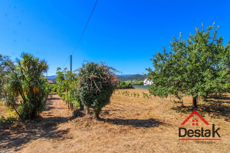 Quinta T0 para Venda em Santa Cruz da Trapa e São Cristóvão de Lafões Foto 48