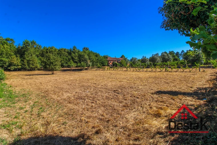 Quinta T0 para Venda em Santa Cruz da Trapa e São Cristóvão de Lafões Foto 23