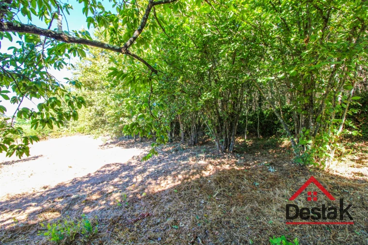 Quinta T0 para Venda em Santa Cruz da Trapa e São Cristóvão de Lafões Foto 34