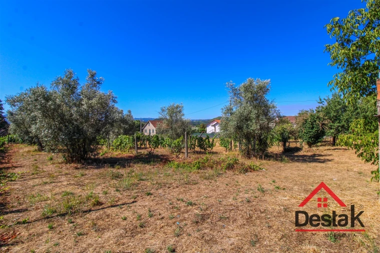 Quinta T0 para Venda em Santa Cruz da Trapa e São Cristóvão de Lafões Foto 45