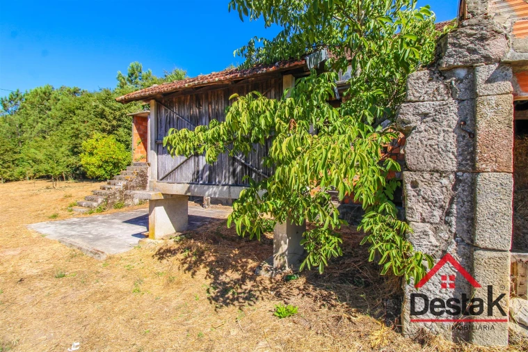 Quinta T0 para Venda em Santa Cruz da Trapa e São Cristóvão de Lafões Foto 13