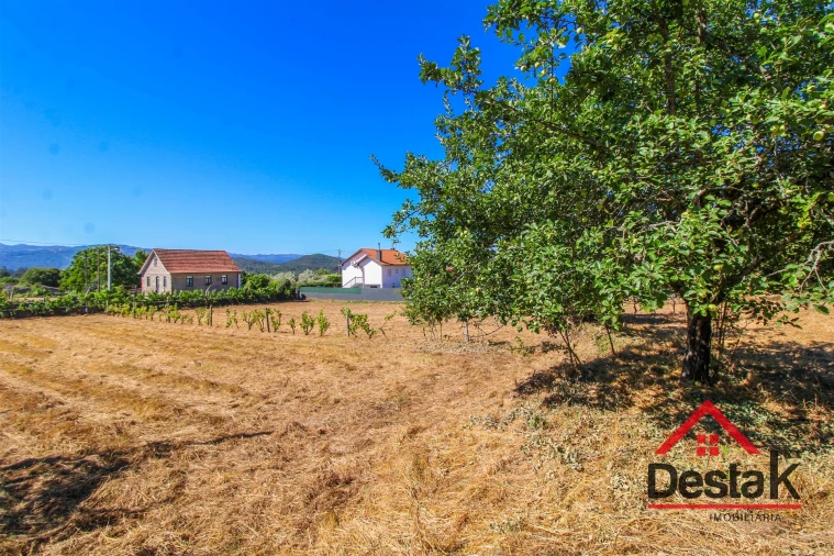 Quinta T0 para Venda em Santa Cruz da Trapa e São Cristóvão de Lafões Foto 27