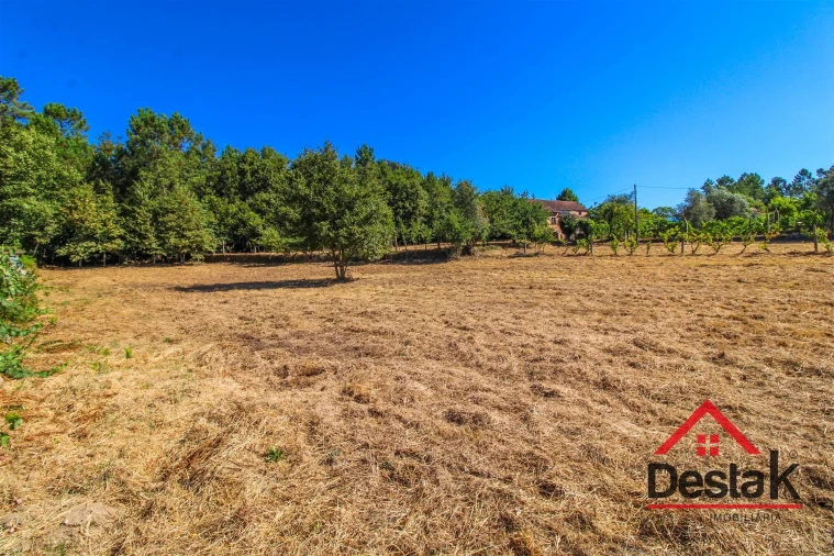 Quinta T0 para Venda em Santa Cruz da Trapa e São Cristóvão de Lafões Foto 24