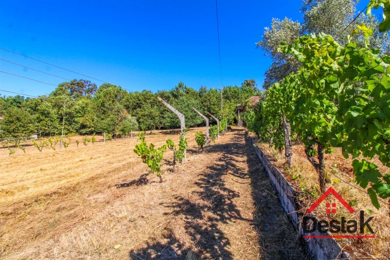 Quinta T0 para Venda em Santa Cruz da Trapa e São Cristóvão de Lafões Foto 25
