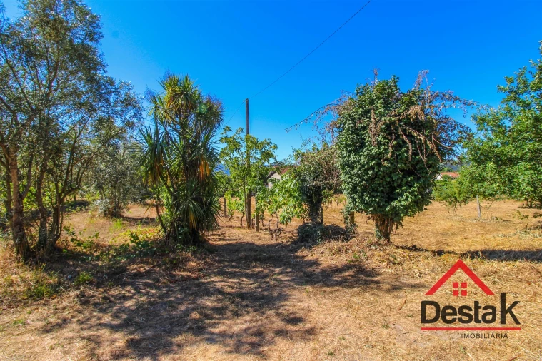 Quinta T0 para Venda em Santa Cruz da Trapa e São Cristóvão de Lafões Foto 26
