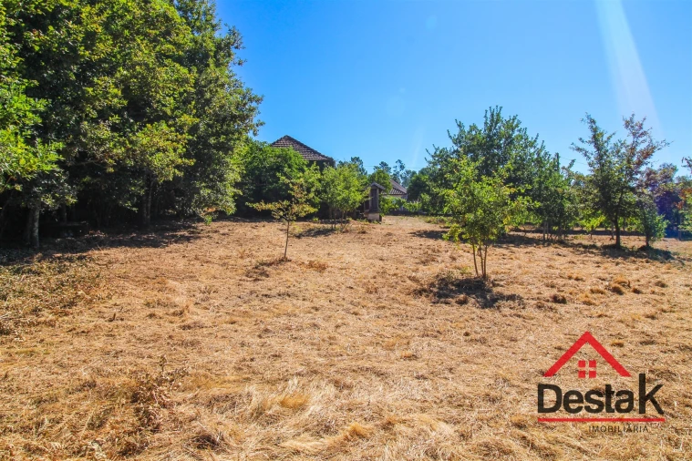 Quinta T0 para Venda em Santa Cruz da Trapa e São Cristóvão de Lafões Foto 37