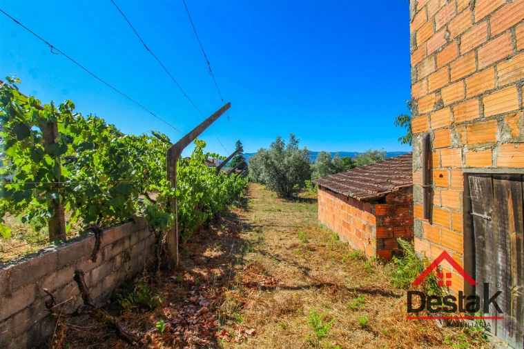 Quinta T0 para Venda em Santa Cruz da Trapa e São Cristóvão de Lafões Foto 17
