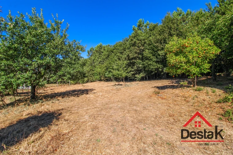 Quinta T0 para Venda em Santa Cruz da Trapa e São Cristóvão de Lafões Foto 28