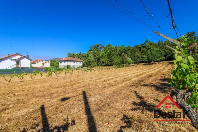 Quinta T0 para Venda em Santa Cruz da Trapa e São Cristóvão de Lafões Foto 6