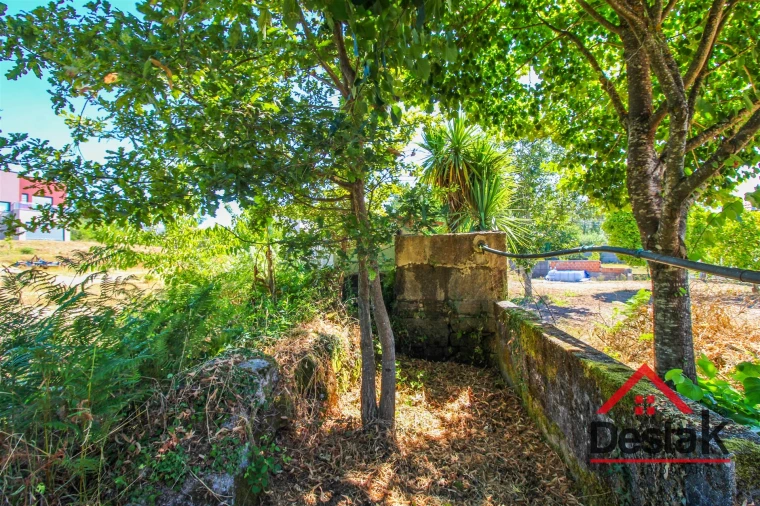 Quinta T0 para Venda em Santa Cruz da Trapa e São Cristóvão de Lafões Foto 44